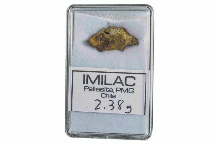 Pallasite Meteorite ( g) Fragment - Imilac #285900